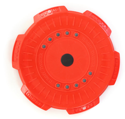 Tummy Twister Magnetic Therapy Body Toner Fat Buster Home Gym